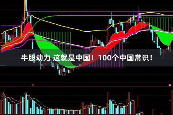牛股动力 这就是中国！100个中国常识！