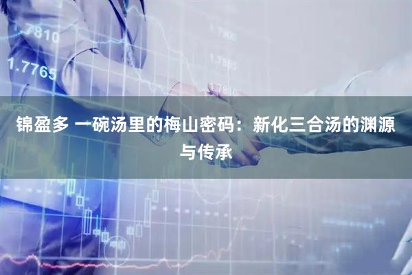 锦盈多 一碗汤里的梅山密码：新化三合汤的渊源与传承